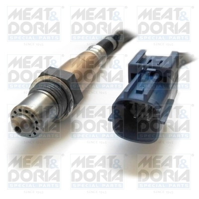 Oxygen Sensor